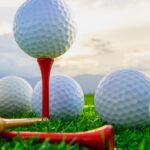Court-Rules-On-HOA-Dispute-Over-Golf-Course-Redevelopment-on-ArringtonPhillipsLLP