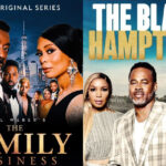 HBCU-Alumni-Divine-9-Members-Unite-to-Produce-‘The-Black-Hamptons-and-‘The-Family-Business-on-BET-from-Arrington-PhillipsLLP.jpg