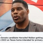 Reposted-from-@thetnholler-ICYMI-—-Herschel-Walker-has-been-taking-a-tax-break-for-a-primary-reside.jpg